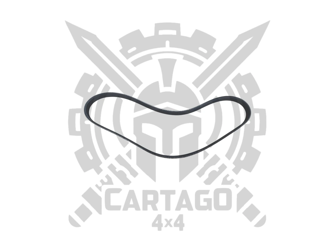 Correa accesorios 790 Vitara