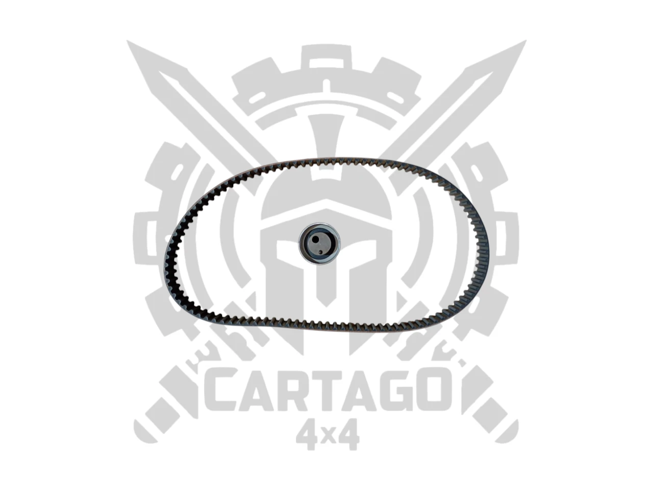 Kit correa distribución inyección Vitara