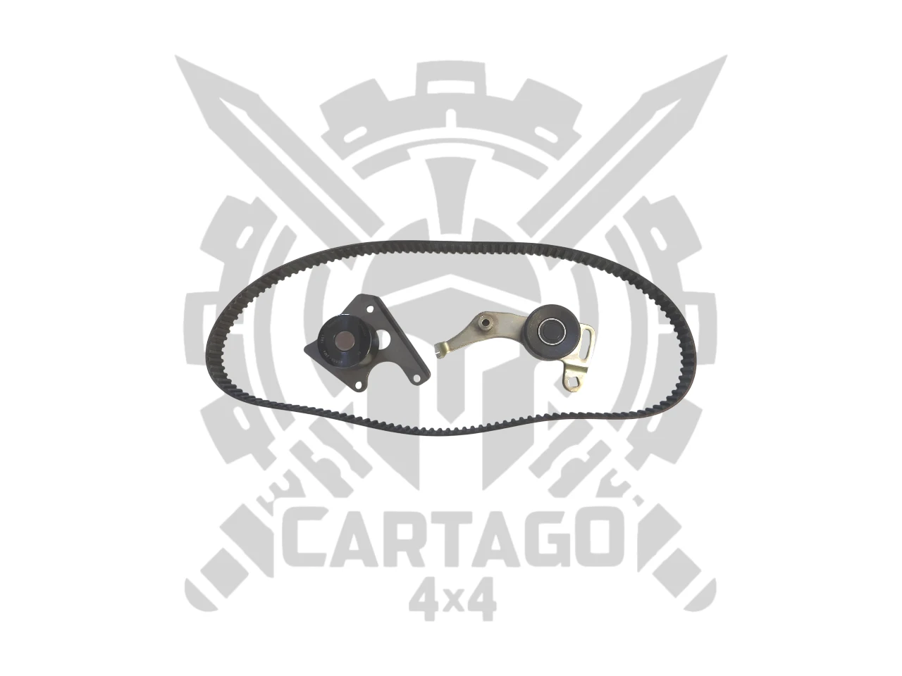 Kit correa distribución diesel