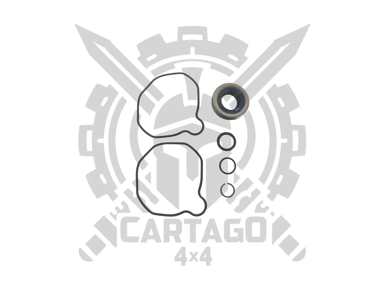 Kit reparación bomba dirección Vitara