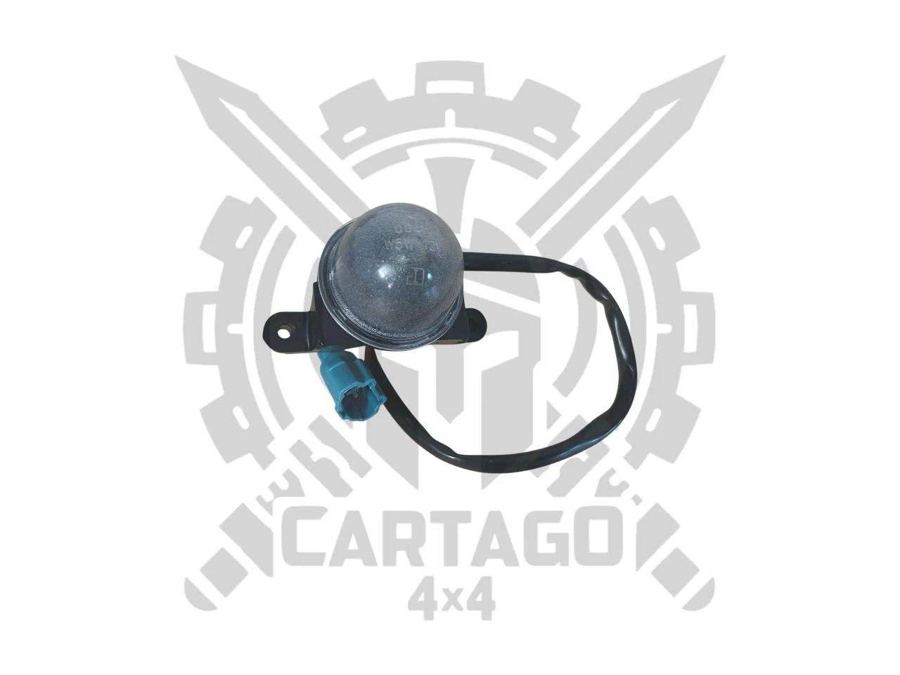 Luz matrícula Vitara