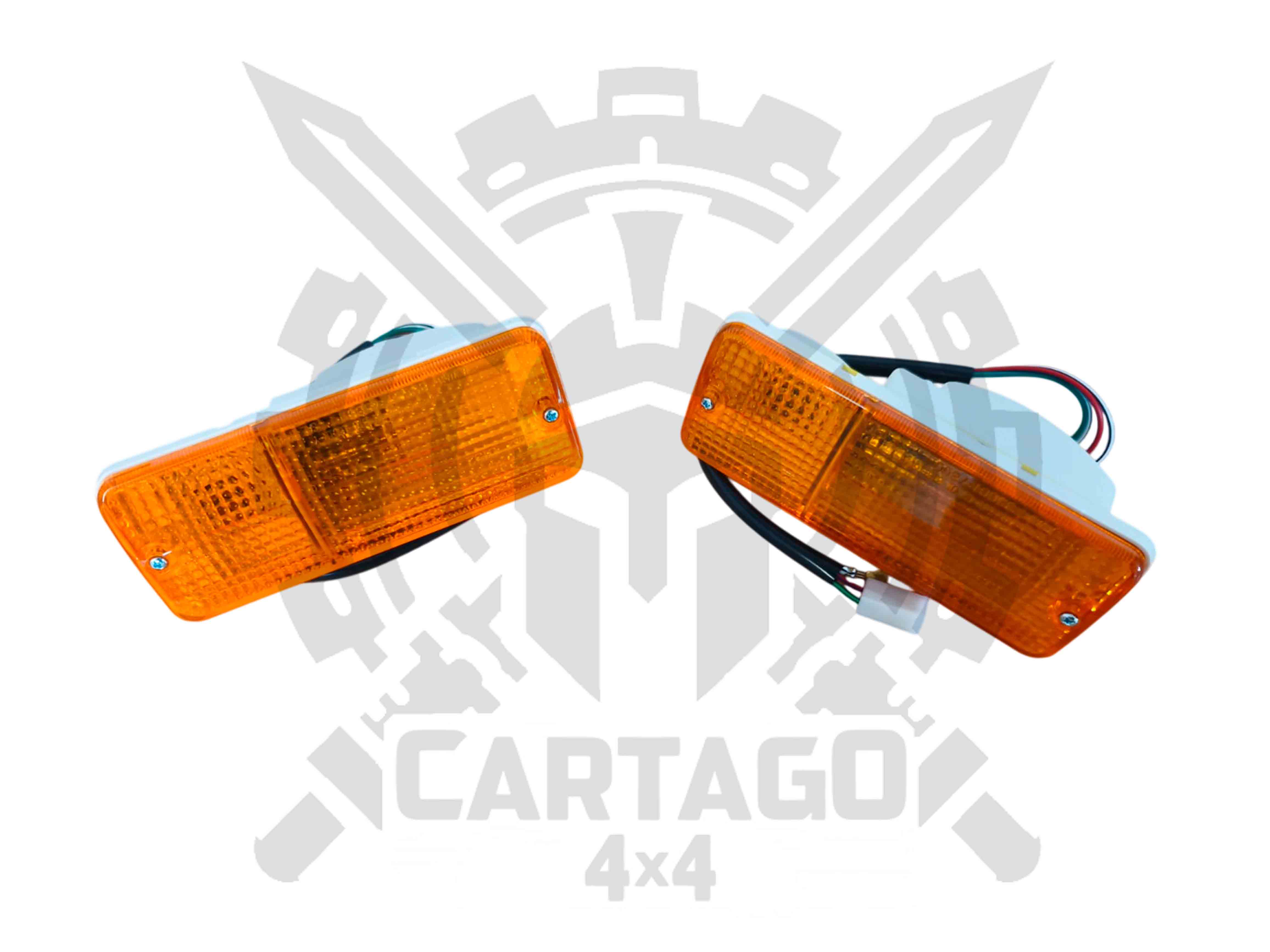 Pilotos intermitentes delanteros