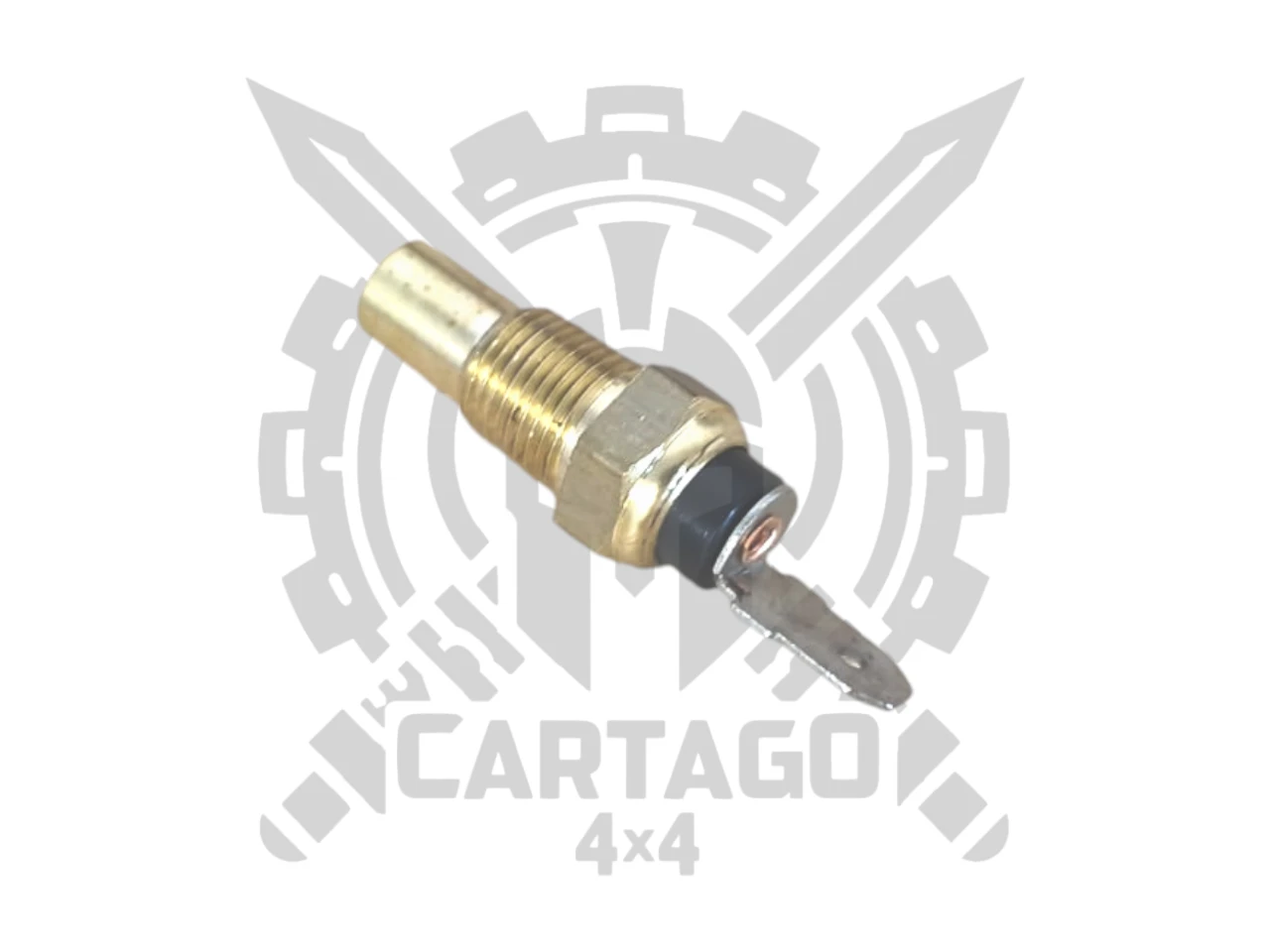Sensor temperatura refrigerante