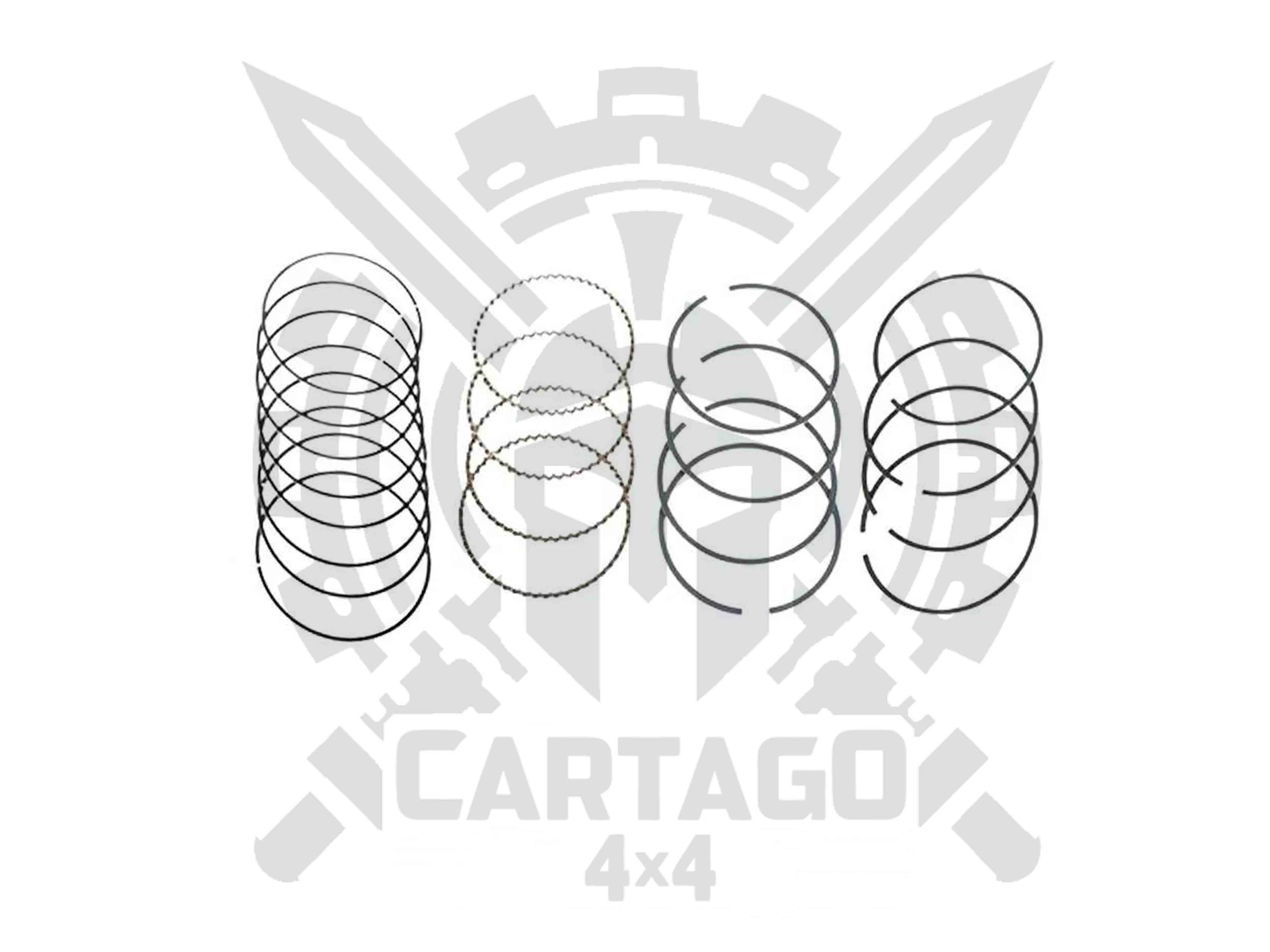 Segmentos Sj413