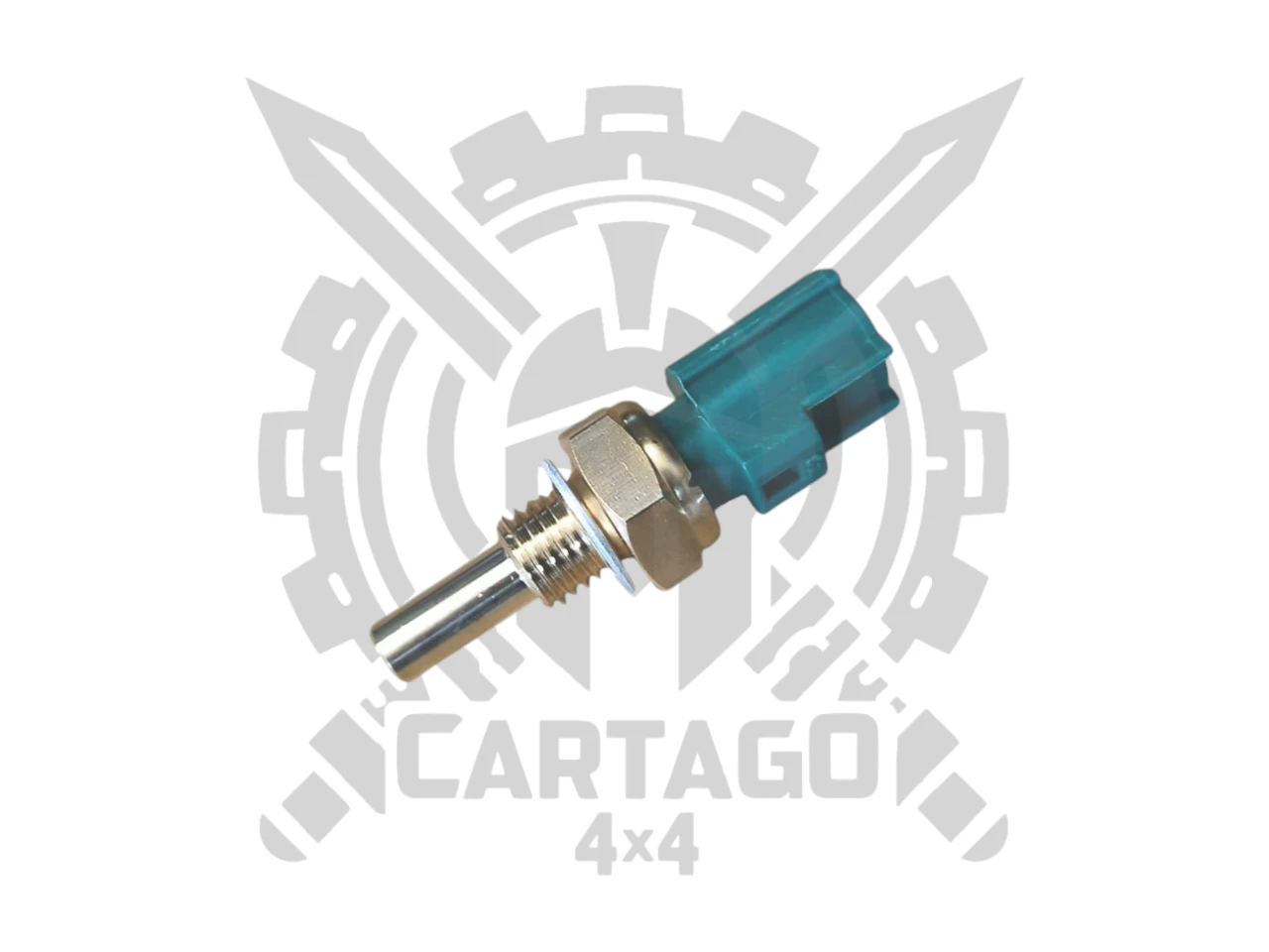 Sensor temperatura Tipo 2