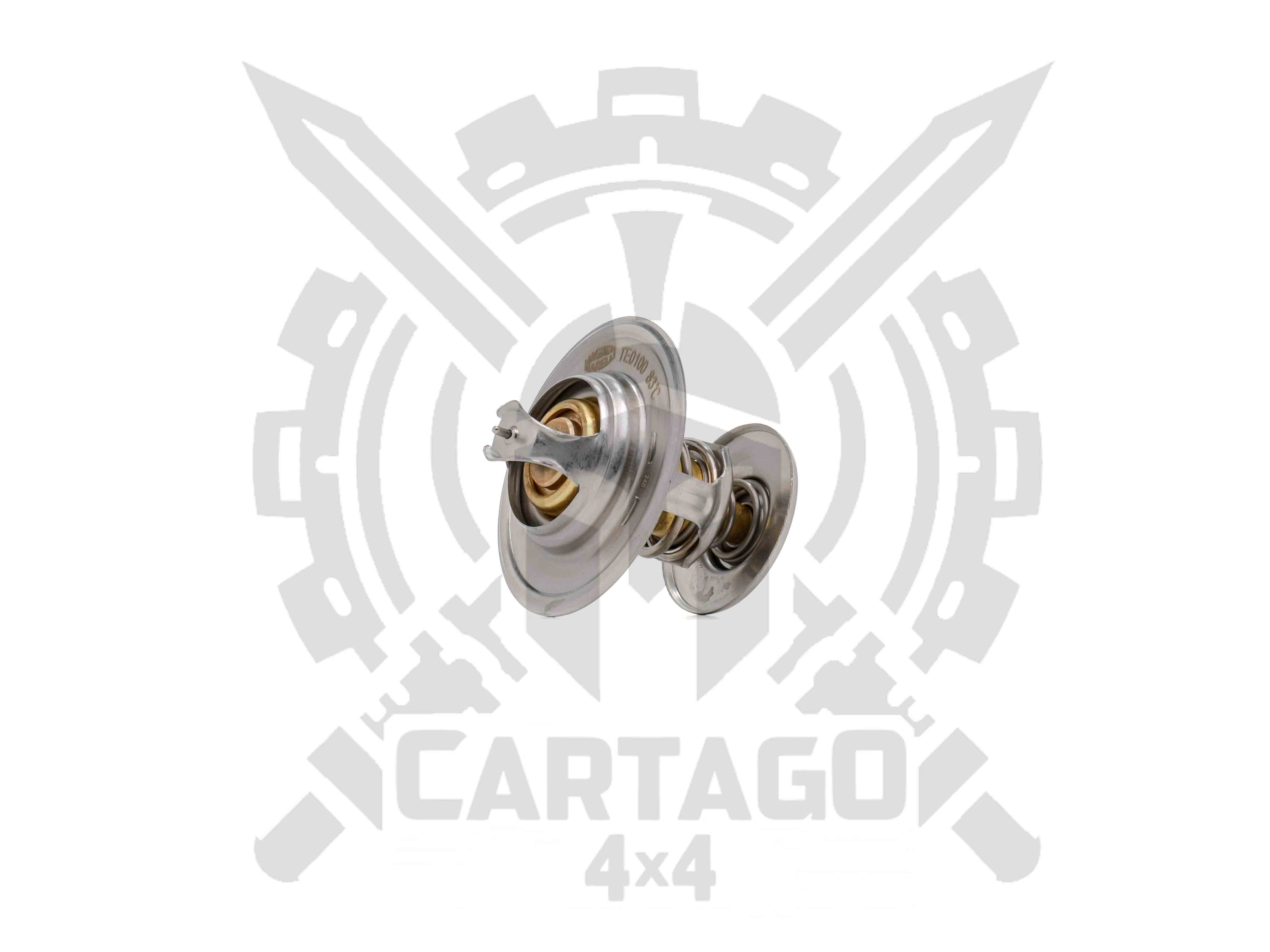 Termostato 1900 TD