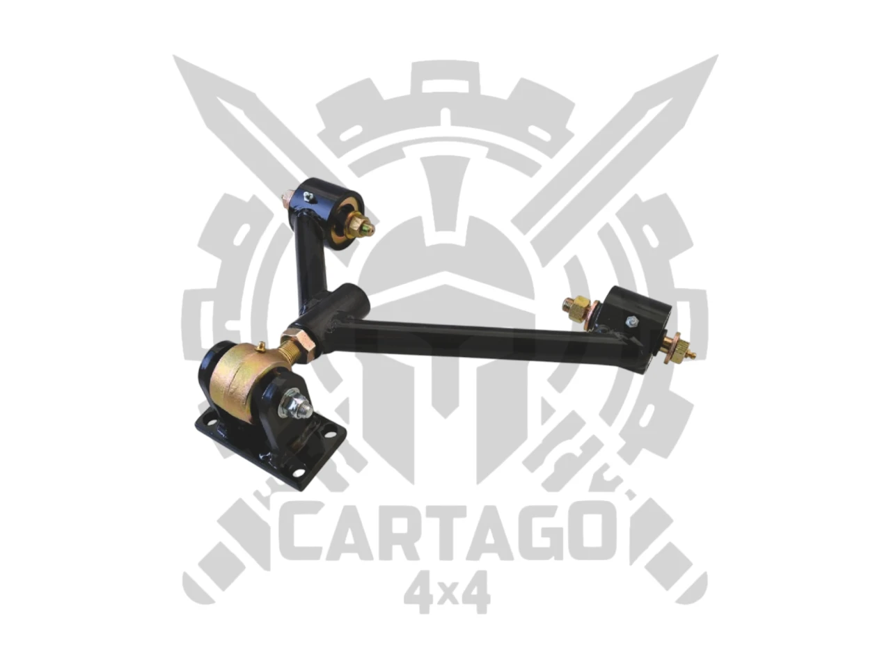 Brazo diferencial trasero RAPTOR