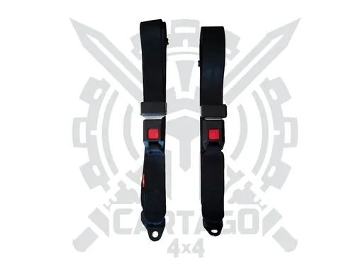 Cinturones traseros homologados (2 pcs)