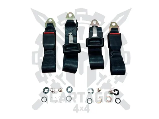 Cinturones traseros 170 cm (2 pcs)