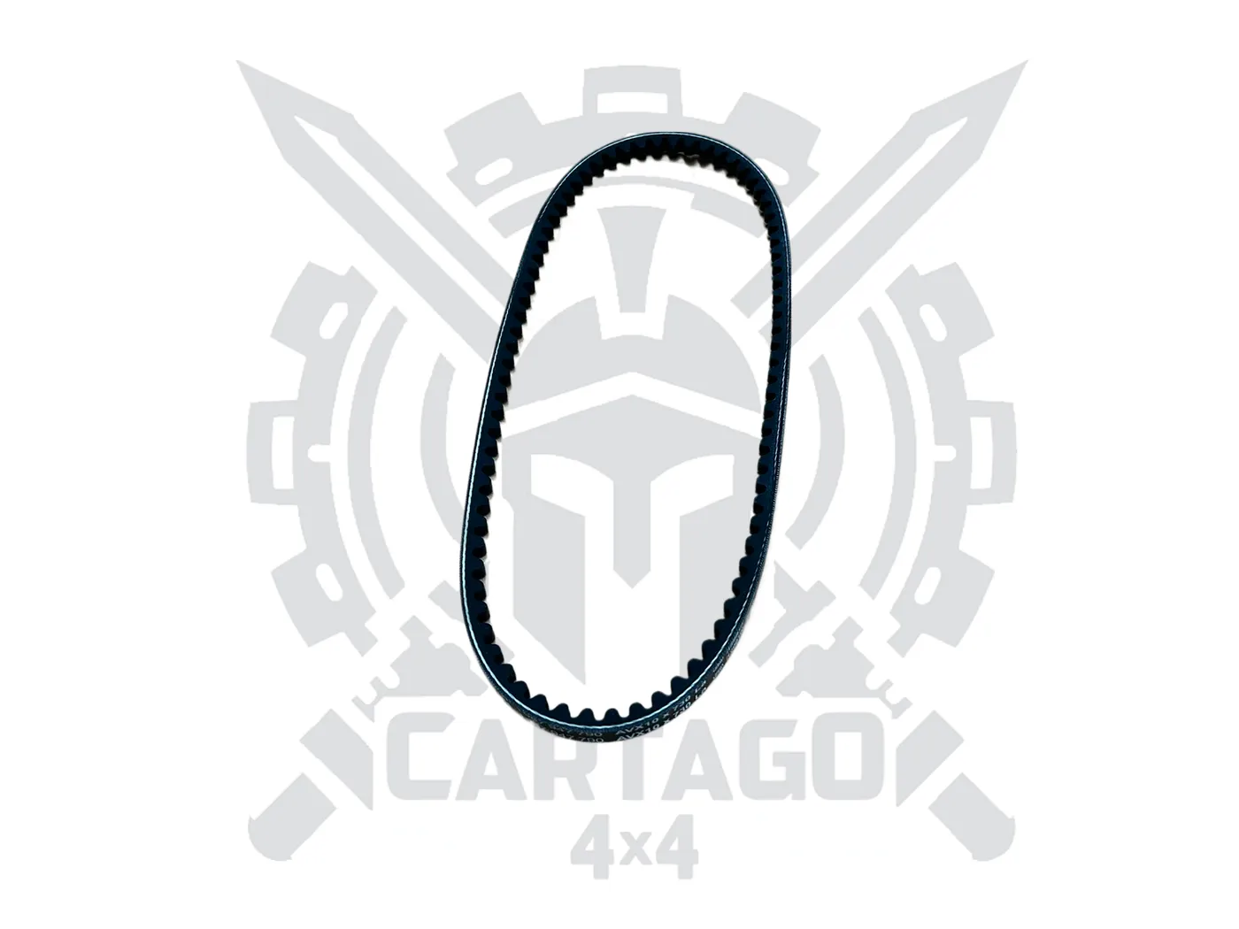 Correa accesorios 730 - imagen 2