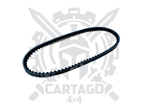 Correa accesorios 730