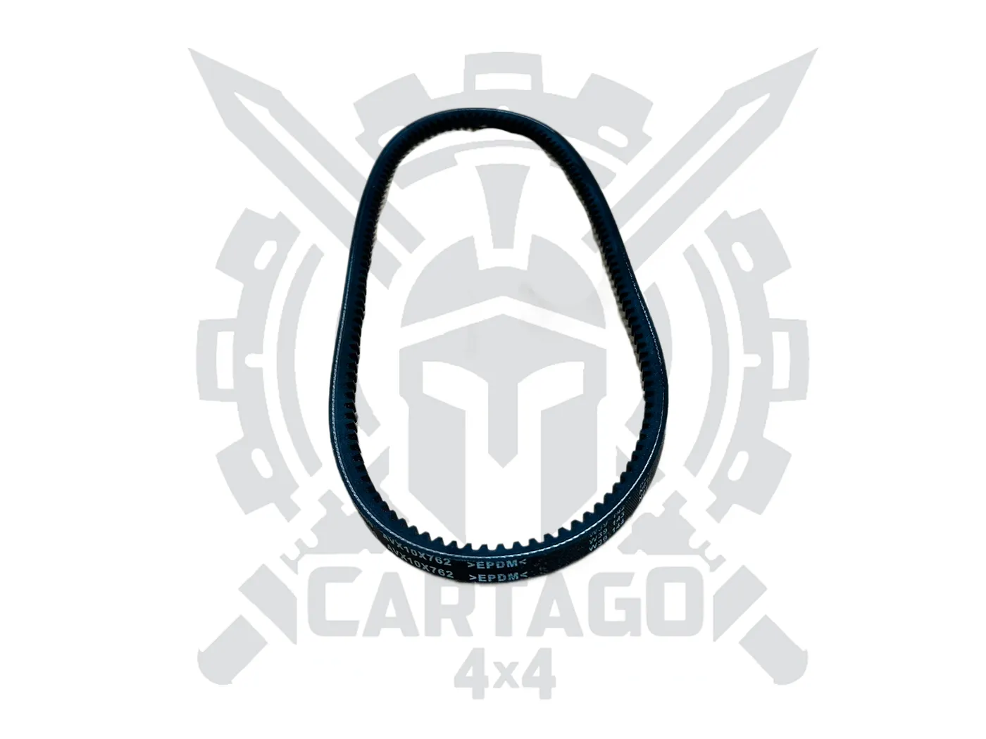 Correa accesorios 763 - imagen 1