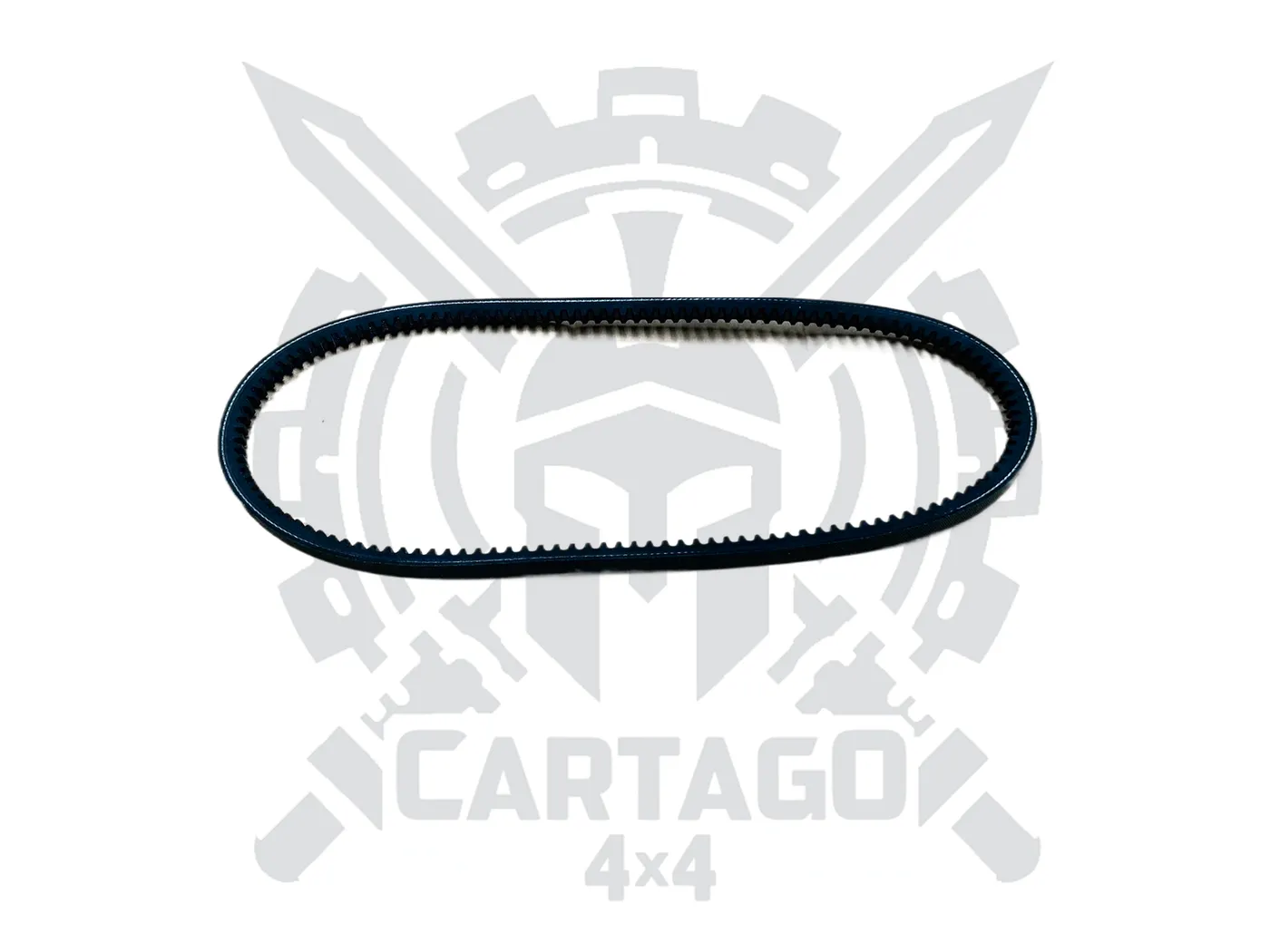 Correa accesorios 763 - imagen 2