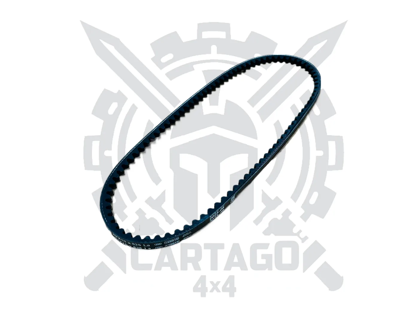 Correa accesorios 825 - imagen 1
