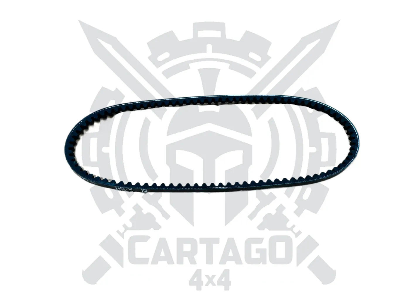 Correa accesorios 825 - imagen 2