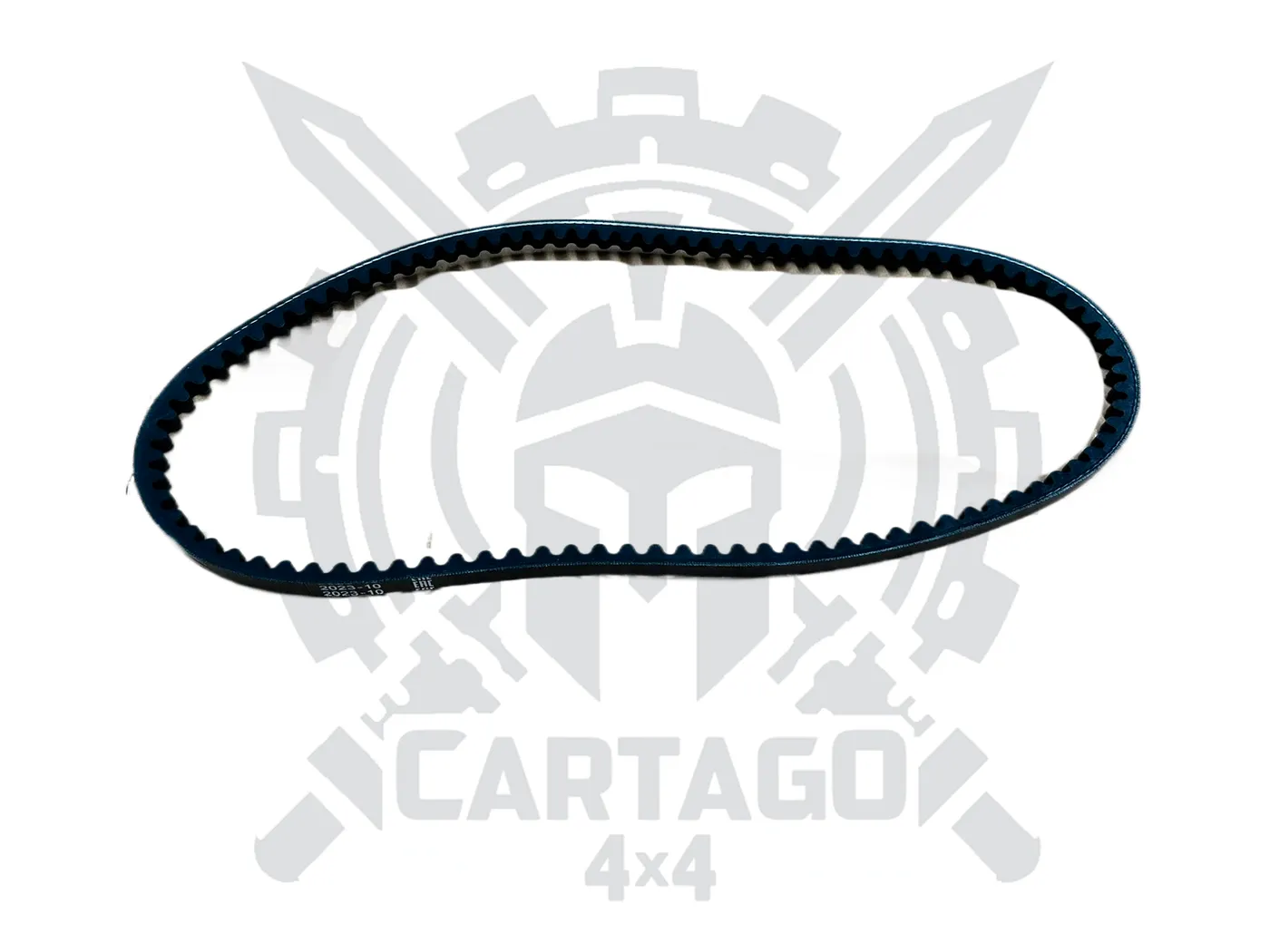 Correa accesorios 838 - imagen 1