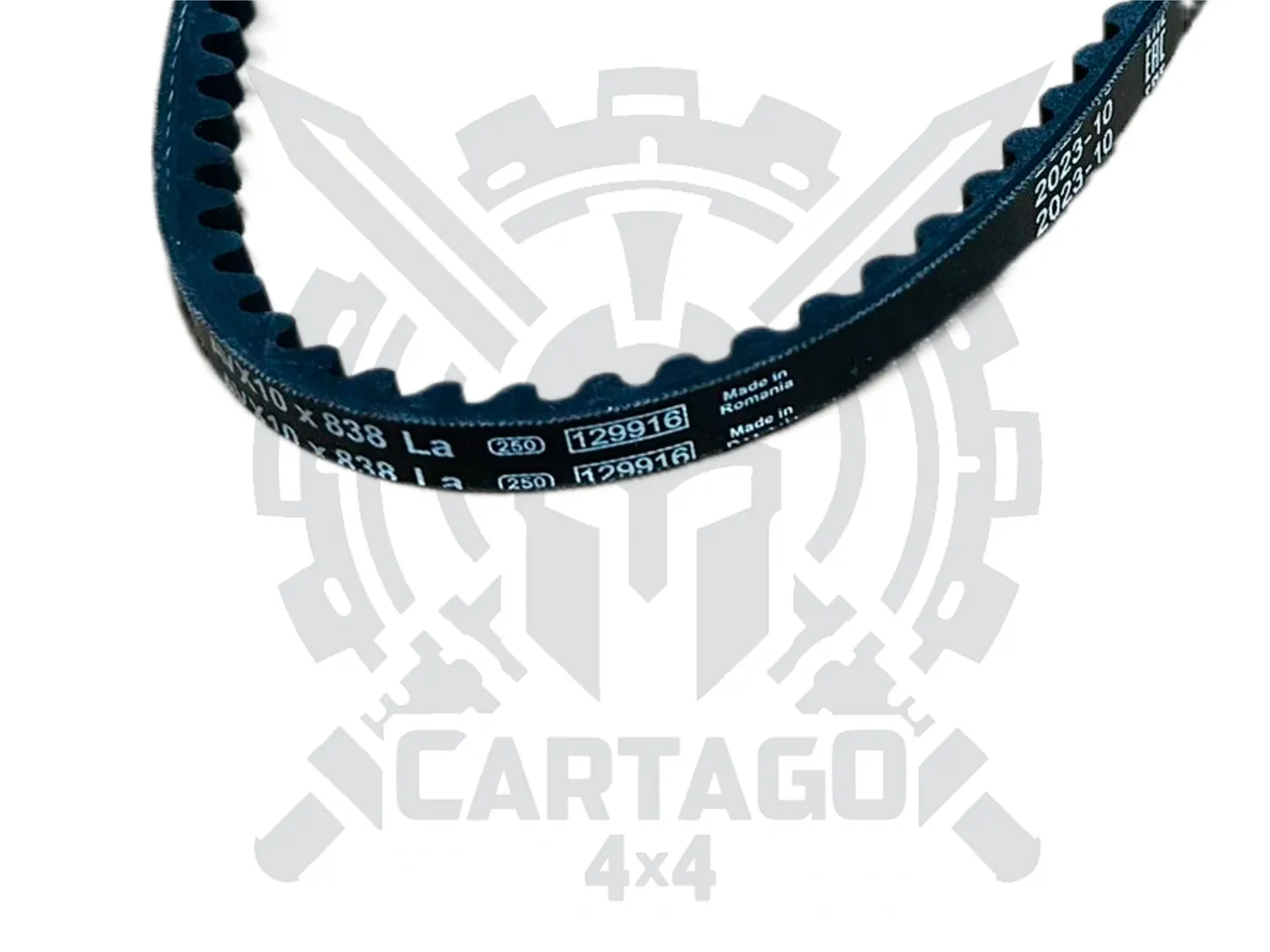 Correa accesorios 838 - imagen 2