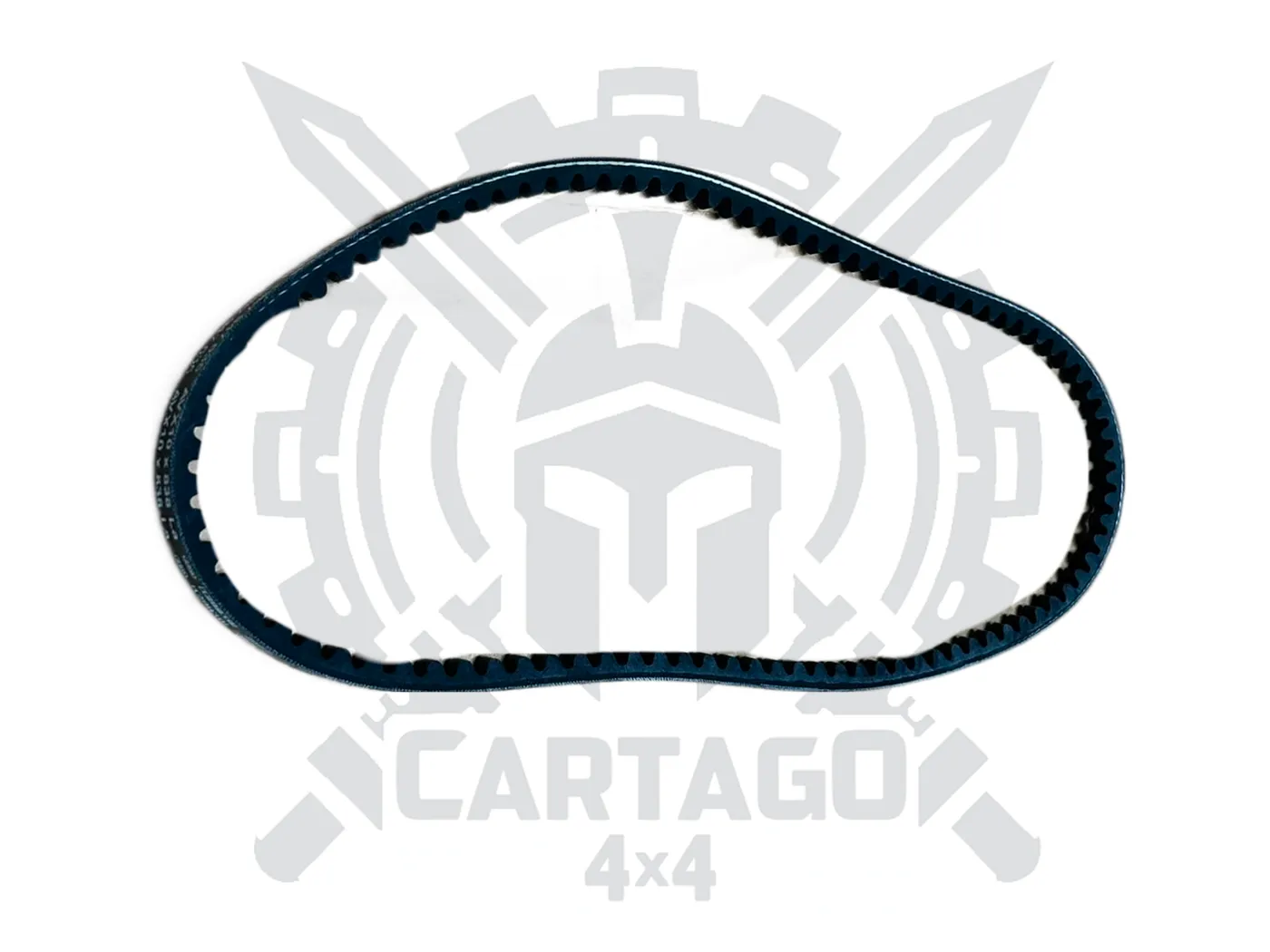 Correa accesorios 838 - imagen 3
