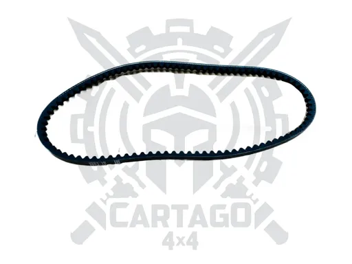 Correa accesorios 838