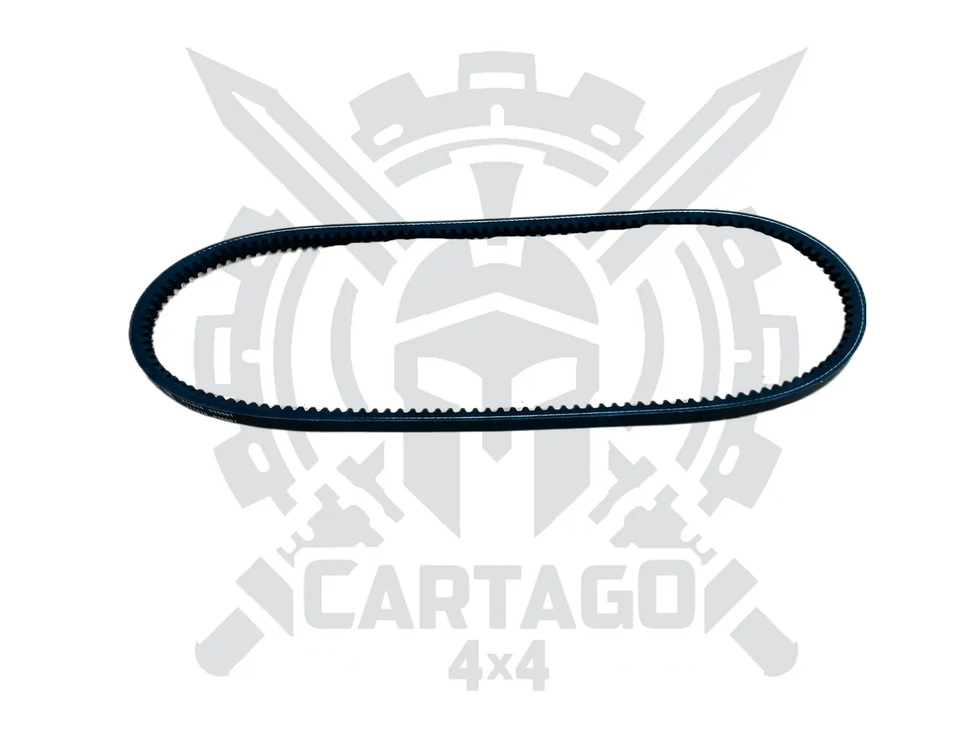Correa accesorios 875 - imagen 2