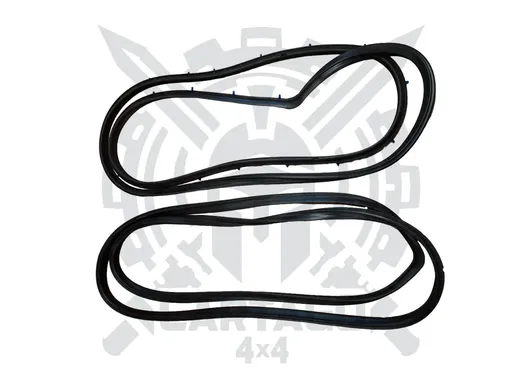 Gomas estanqueidad puertas LH y RH calidad original
