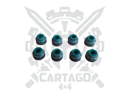 Kit retenes de válvula (8 pcs)