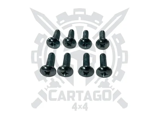 Tornillos bisagras puertas o portón (8 uds)
