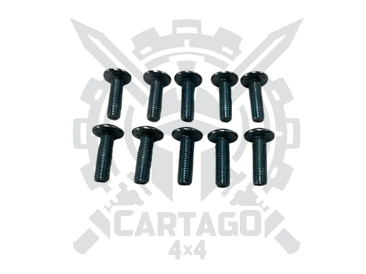 Tornillos bisagras puertas o portón (10 uds) - imagen 2