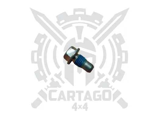 Tornillo holgura palanca cambios M10