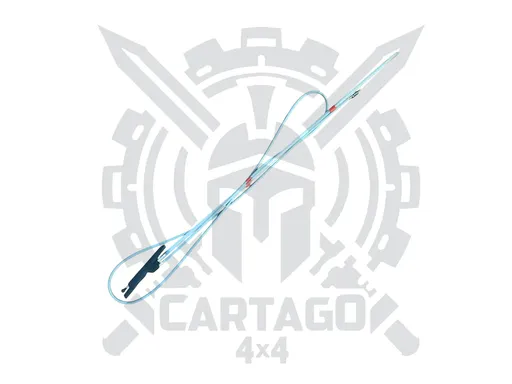 Antena vitara